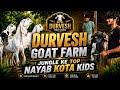 Dhamaka Offer 🔥 Jungle Ke Nayab Kota Kids😱 Lo Aur Shouk Karo || Durvesh Goat Farm Bhiwandi Mumbai ||