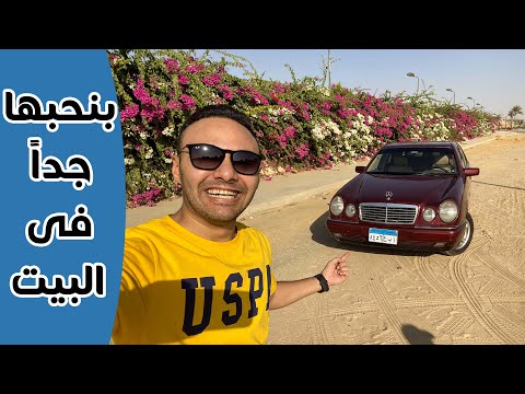 Mercedes E240 Model 1999 سرقتها من ابويا عشان اصورها 