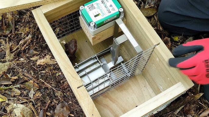 How to use a Trapinator possum trap — Predator Free Dunedin