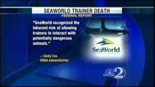 OSHA Hits SeaWorld With Safety Violations, Fine