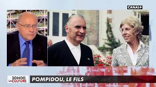 Pompidou le fils- L'Info du Vrai du 09/11– CANAL+