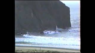 Verdicio y Xagó (Asturias) en 1990