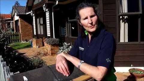 Meet Access support worker Eve