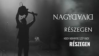 Miniatura de vídeo de "Nagy Dávid - Részegen feat. Szekeres András"
