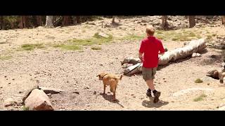 Exploring With Your Dog - Presented By Pupptech - Episode 10 - St. Marys Glacier