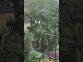 Rain 🌧️#rainyday #rain #rainsounds #asmr #asmrsounds #asmrvideo #nature #organize #relaxing #relax