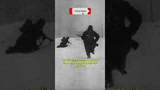 Operation Barbarossa - Hitler's failed invasion of the USSR