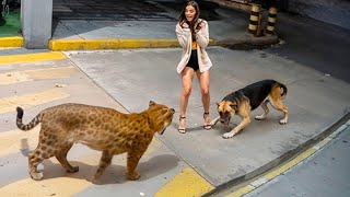 60 Héros Animaux Qui Ont Sauvé des Vies Humaines