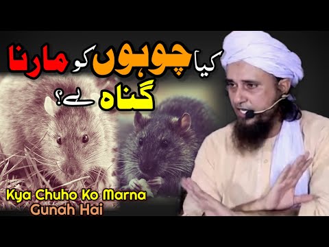 Chuho ko marna