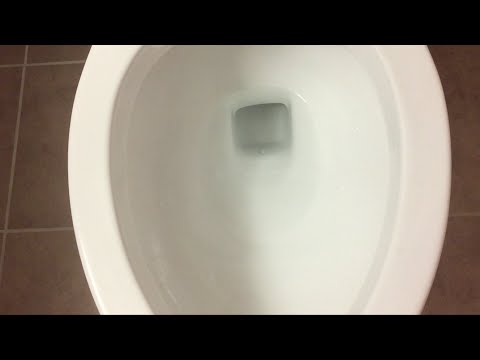 Niagara Conservation 0.8gpf toilet flush - YouTube Niagara Conservation 0.8gpf toilet flush - YouTube