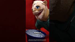 Sml Brooklyn T Guy Loves Eating Glue