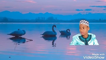 تلاوةٌ تُنْسِيك هُمومَ الدّنْيا👈 للقارئ إبراهيم بن محمود جَلُّو الغِينِيِّIbrahim ibn Mahmoud Diallo