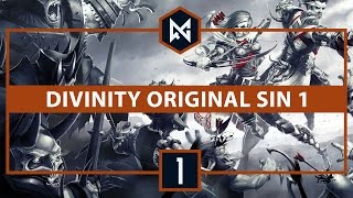 Divinity: Original Sin [BLIND] | Ep 1 | The start of a new adventure | Let’s Play CO-OP