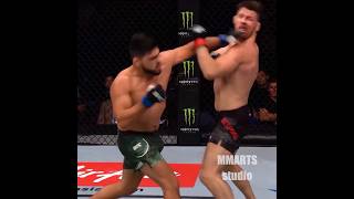 Every FINISH in Michael Bisping UFC fights | GSP, Rockhold, Belfort, Gastelum AND MORE