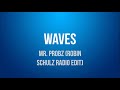 Waves (Lyrics) - Mr. Probz (Robin Schulz Radio Edit)