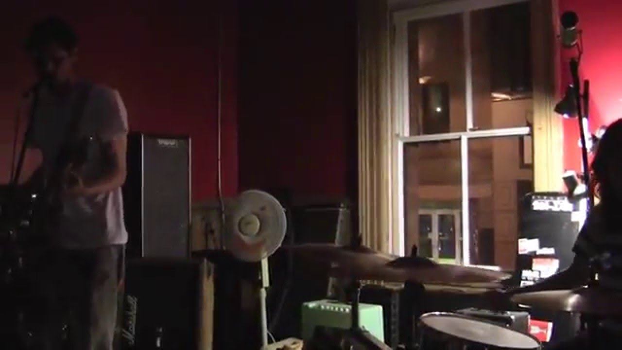 Dog Day - In The Woods