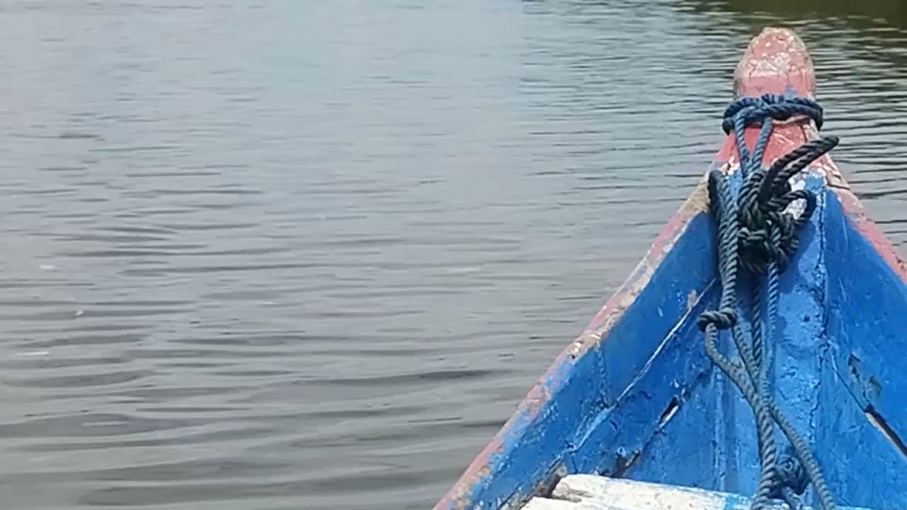 4 de novembro de 2025