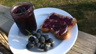 This is really my wife's thing so i guess you could call it "cooking
for dads by moms and daughters" or something like that. any way we
grow these grapes ev...