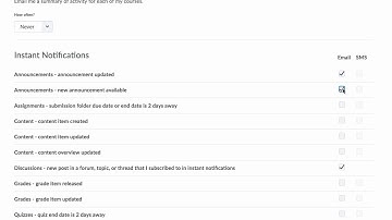 Notifications Bright Space D2L