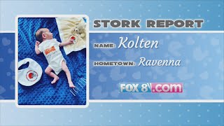 Stork Report 10/23/20