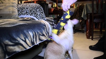 Original Cat Buddy Catnip Kicker Toys (2-Pack)