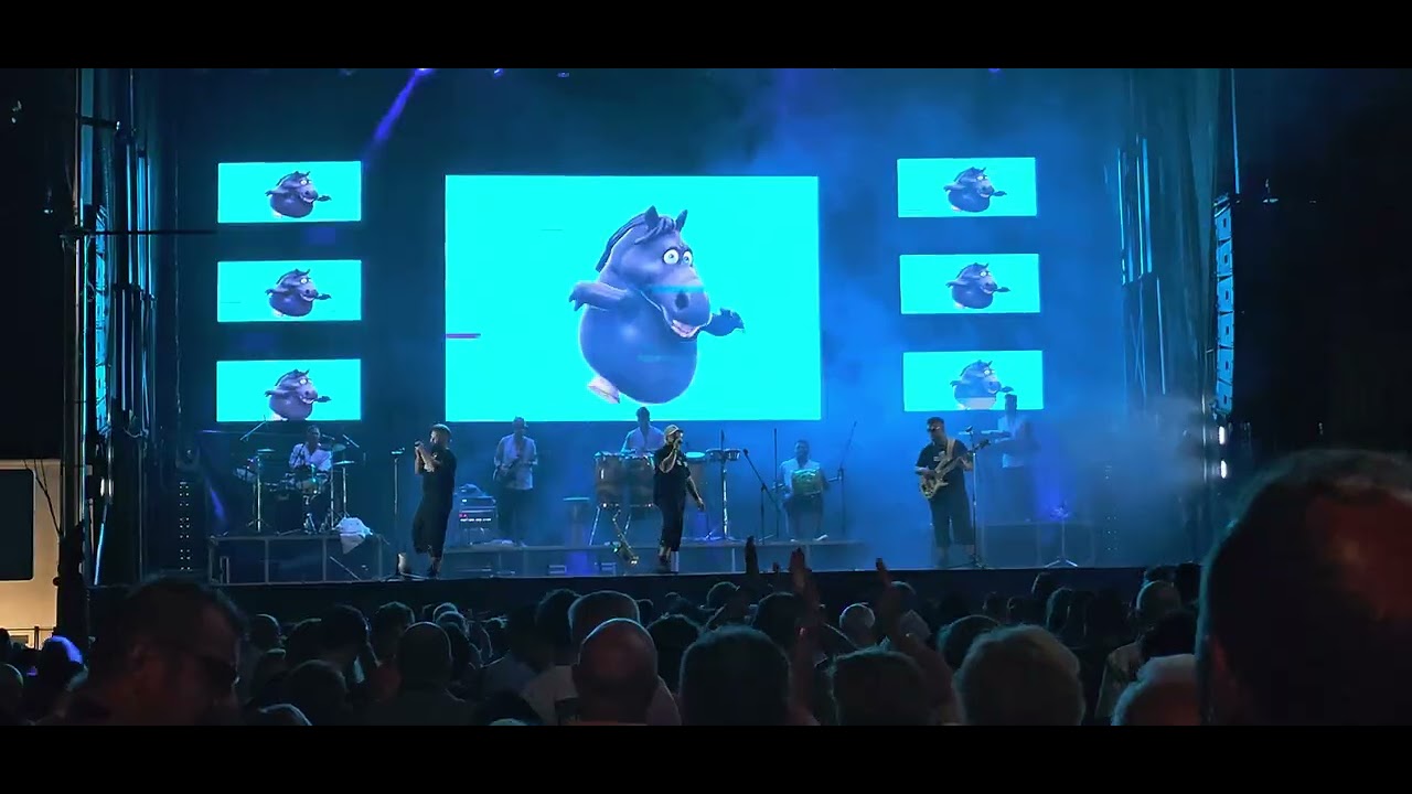 Orquesta Los Coleguitas 16/08/2025.