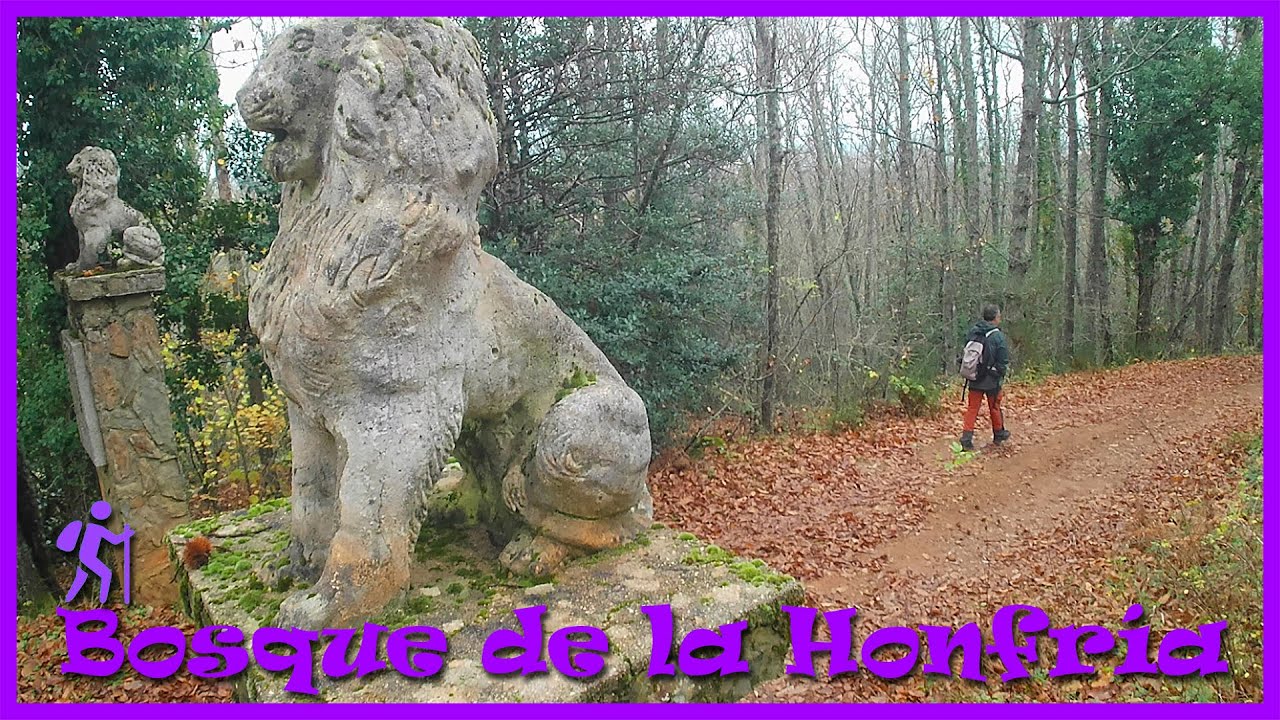 Bosque de La Honfría / Linares de Riofrío (Salamanca)
