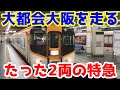 【近鉄】大都会大阪を走る2両の有料特急に乗ってみた。【南大阪線】
