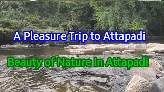 Natural Beauty Of Attapadi In Palakkad Natural Beauty Of Kerala