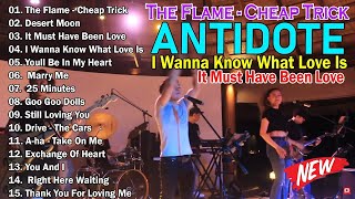 Antidote Band Nonstop Collection 2024 Playlist | Antidote Band Best Cover Songs 2024 | The Flame