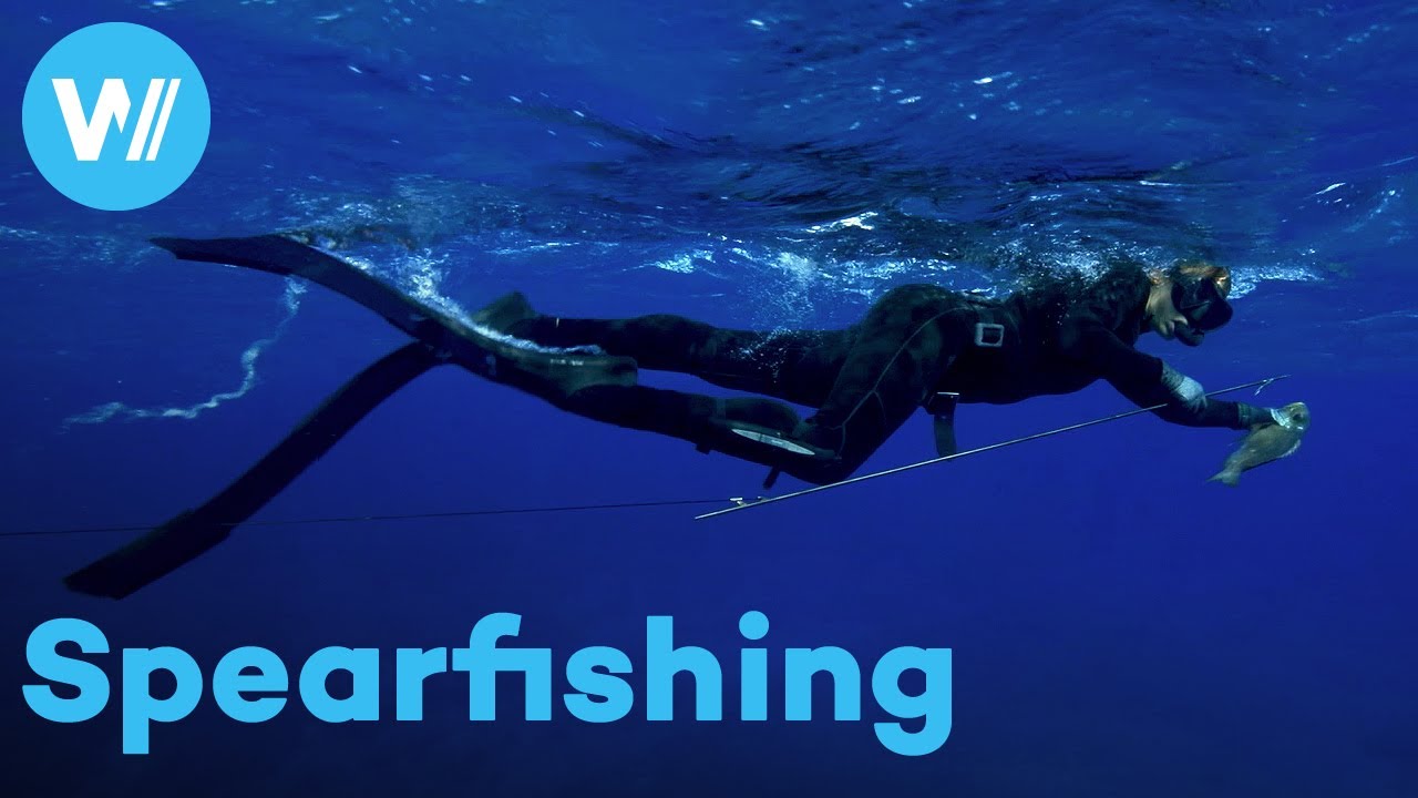 Documentary backdrop image for Hunting like the ancestors: Spearfishing and apnoea diving on remote paradise islands (2023)
