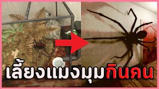 เลี้ยงแมงมุมสยองกินเนื้อ | รวมเกมผีสั้น / เกมสยองขวัญ ( Lurking / KACIPBARA / Hunting ) screenshot 1