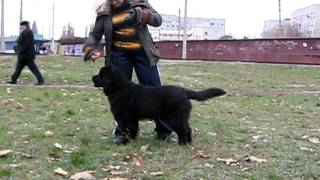MVI_8530.AVI
