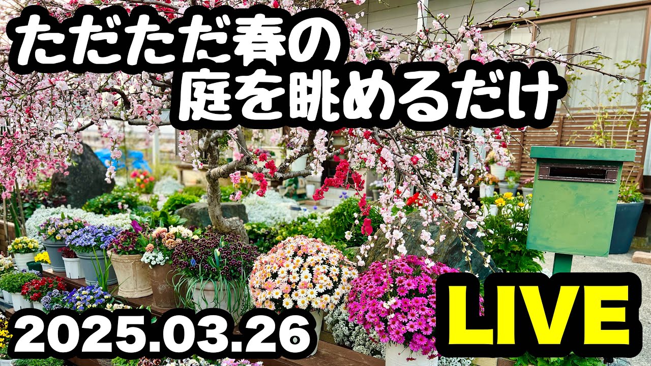 ◇風に揺れる春の庭を眺めるだけ… - YouTube