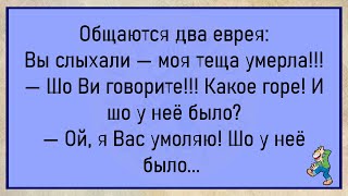 💎Нагруженные Муж И Жена Вваливаются На Вокзал...Подборка Смешных Анекдотов Для Хорошего Настроения!