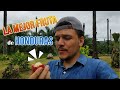 Esta es LA MEJOR FRUTA de HONDURAS 🇭🇳 | Probando LICHAS | Joel Seoane