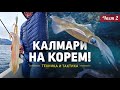 КАЛМАРИ на корем / Как да ловим хитрите мекотели? Техника и тактика - 2 част