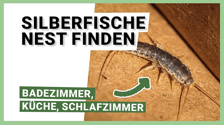 Silberfische Nest finden: Badezimmer, Küche und Schlafzimmer