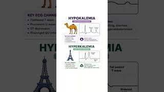 NORMAL POTASSIUM LEVEL-3.5mEq/L-5mEq/L#electrolytes #shortsfeed #hypokalemia #hyperkalemia #yt