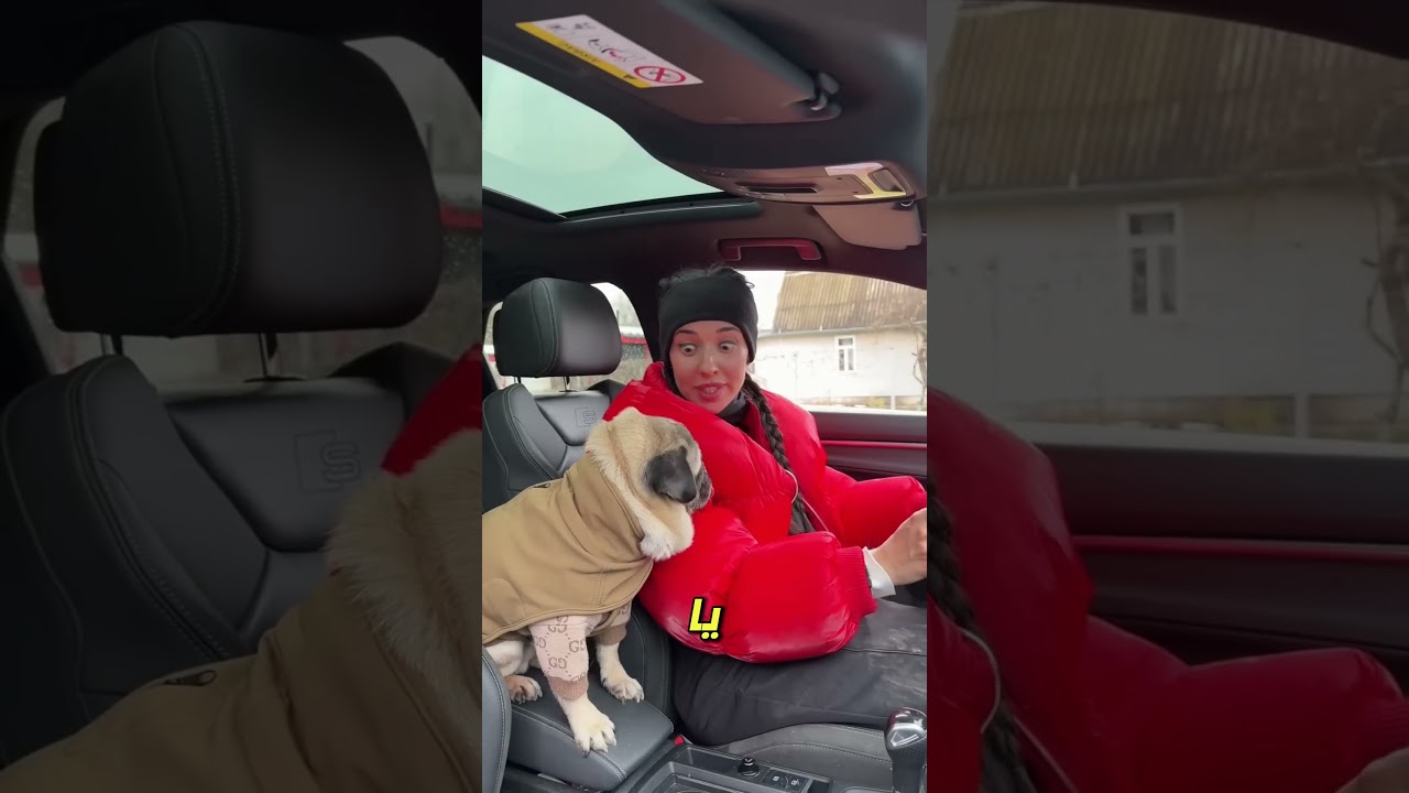 سونو استمتع كثيراً في الحديقة 😂🐾