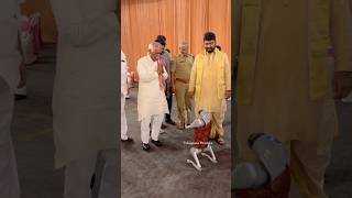 Bandaru Dattatreya Attended Hathway Praveen Kumar Son Marriage | Vamshi Krishna Weds Vinitha Wedding