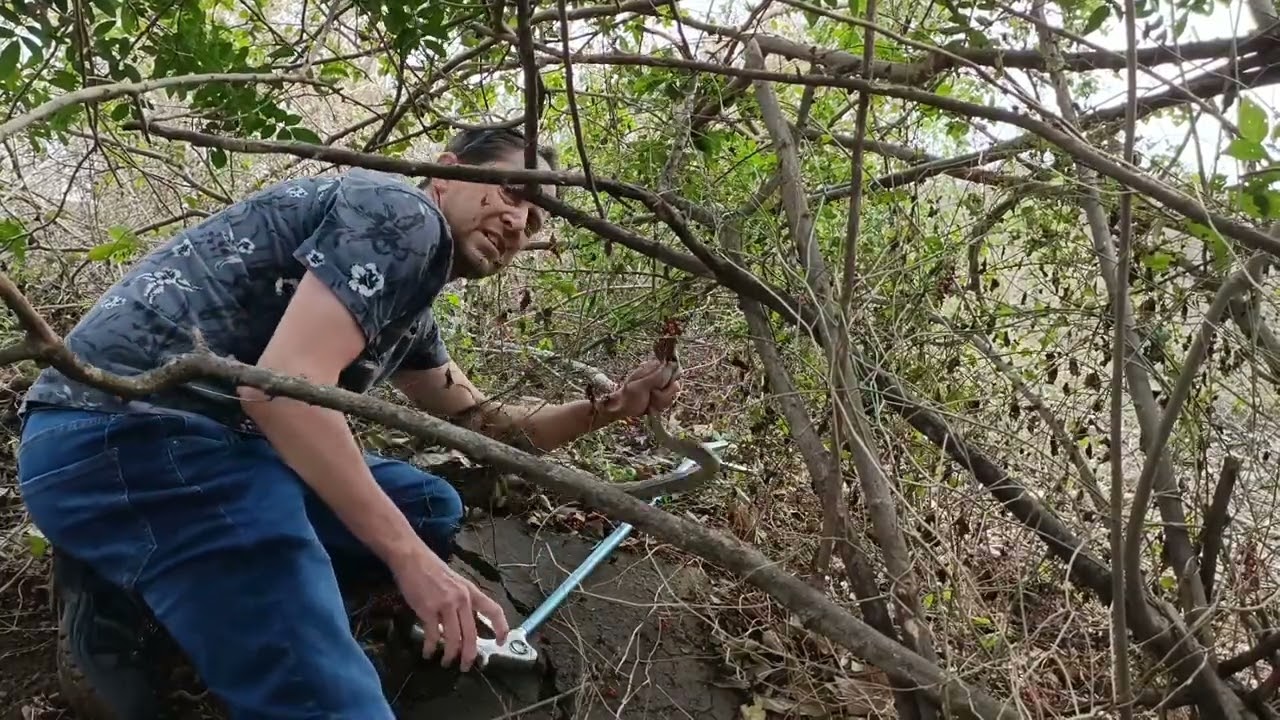 Black Mamba mission on Friday the 13th