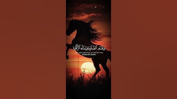 《سورة النور 》الآية رقم 37............ #المصحف #قرآن #دويتو #الرحمن