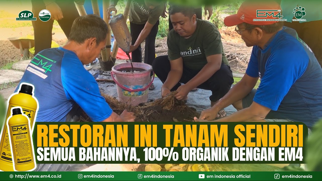 RESTORAN INI TANAM SENDIRI SEMUA BAHANNYA, 100% ORGANIK DENGAN EM4❗