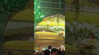 #imamrezaholyshrine #mashad #irantravel #ziyarat #iranvlog #viralshort #subhanallah #hajj2026 #love