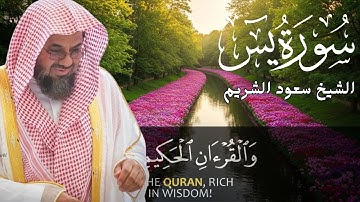 القارئ الشيخ  سعود الشريم سورة يس كاملة  Sourat Yassin Sheikh Saud Al Shuraim