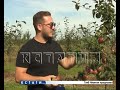 Садоводство будут развивать в Нижегородской области
