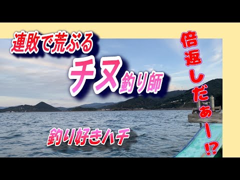 【かかり釣り】【筏チヌ】あと少しで〇〇〇❕　楽しい釣りになりました。今季三尾川最終戦