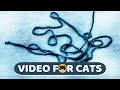 Cat games  yarn stringss for cats  cat tv  1 hour