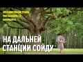 На дальней станции сойду. #ПЕСНИВЕЛИКОЙСТРАНЫ. Калужская область